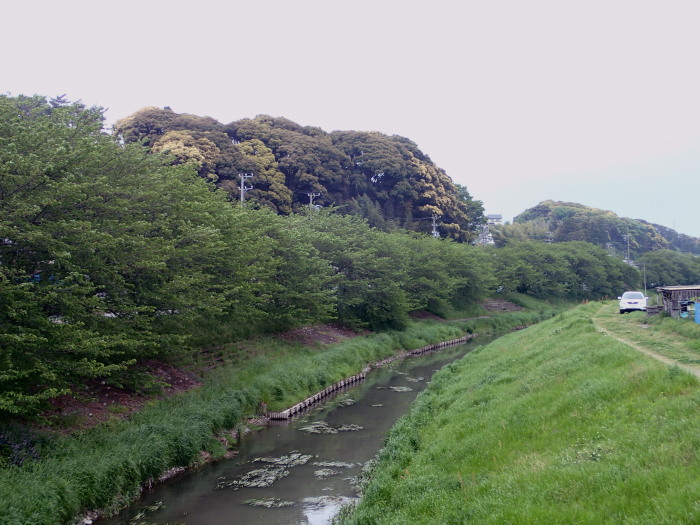 c0197578_23222279.jpg