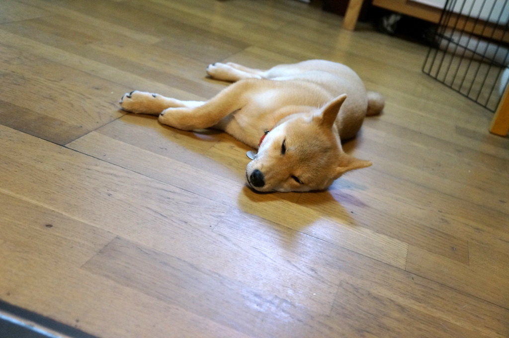 c0180686_00071855.jpg