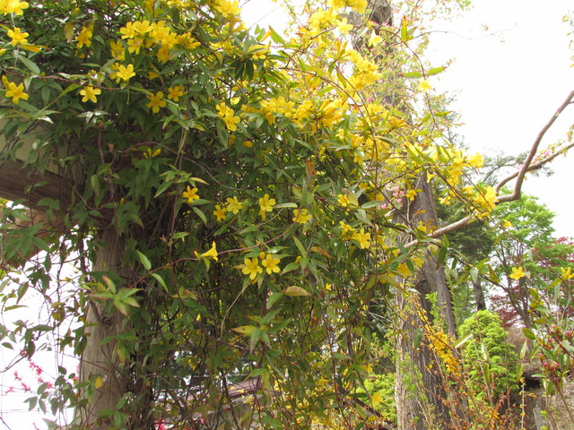b0203588_20125129.jpg