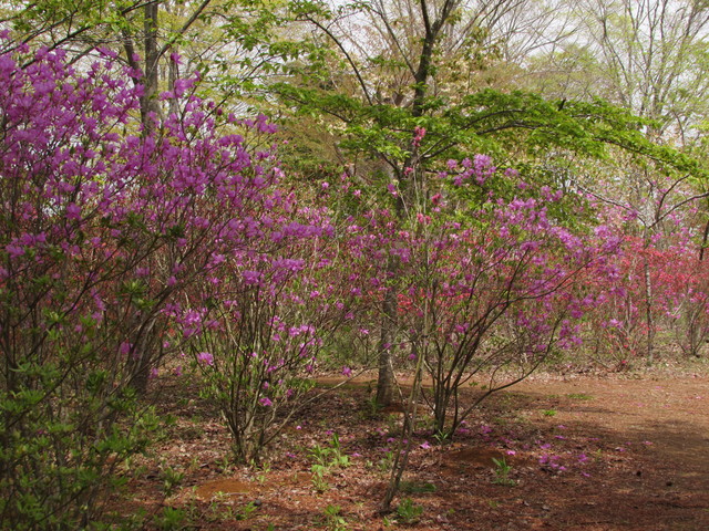 b0203588_20131488.jpg