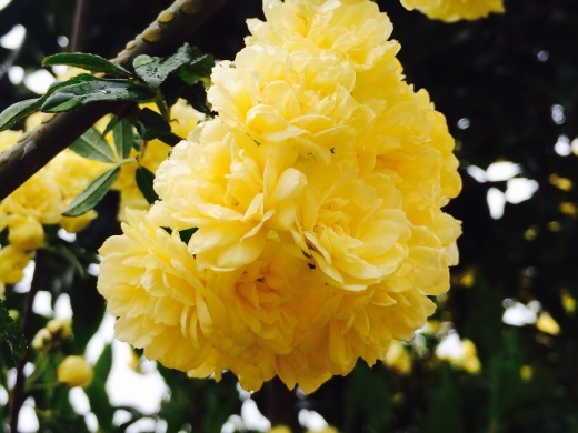 f0201297_10482126.jpg