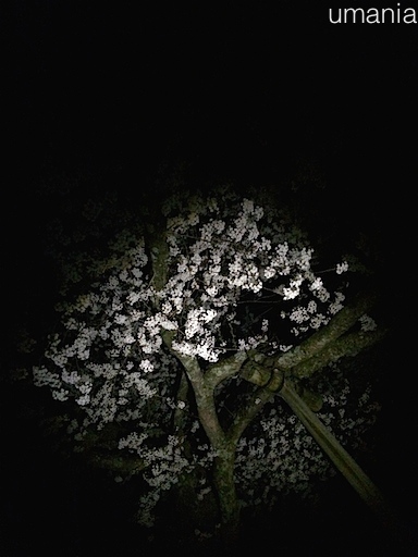 b0061004_23171138.jpg