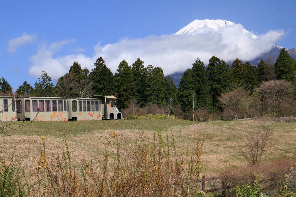 a0188405_05553810.jpg