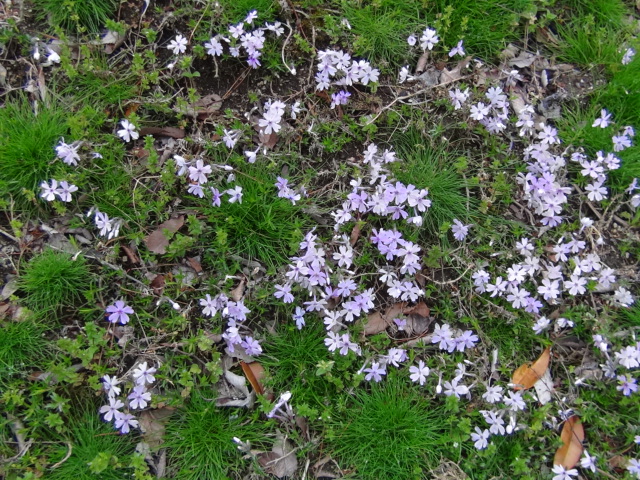 f0231709_1455090.jpg