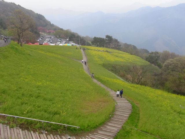 f0231709_1525215.jpg