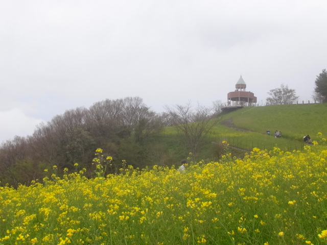 f0231709_1534974.jpg