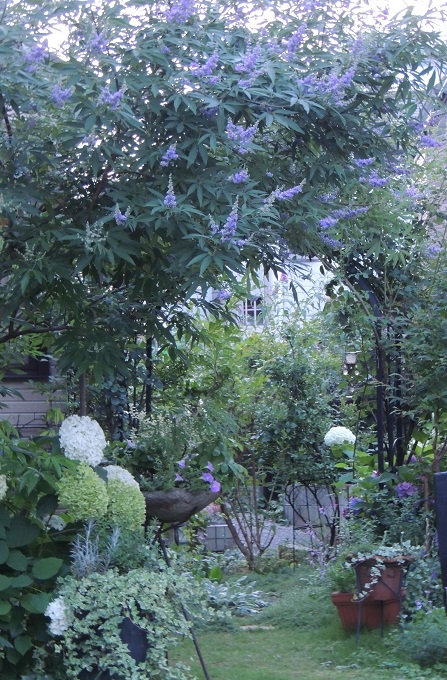 f0150620_7435218.jpg