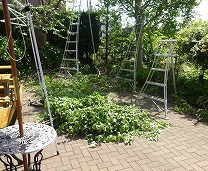 f0037623_155827.jpg
