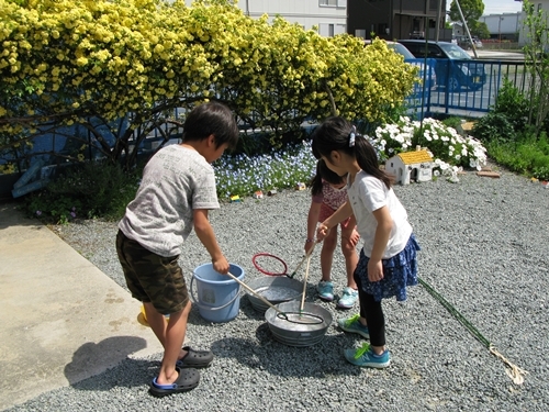 f0129726_21113286.jpg