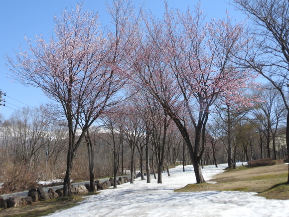 f0118332_0392175.jpg