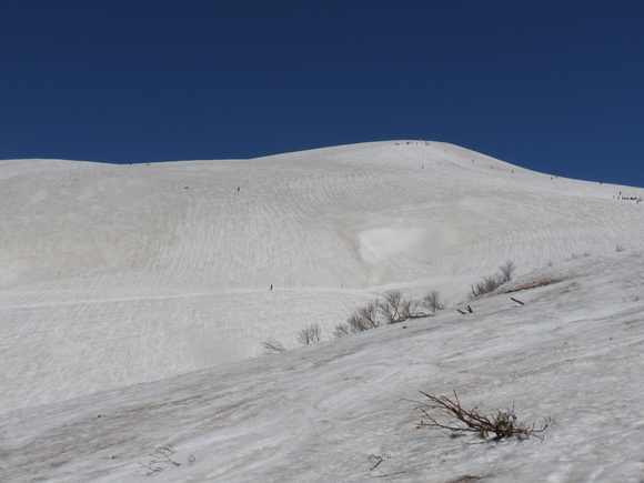 f0118332_0404181.jpg