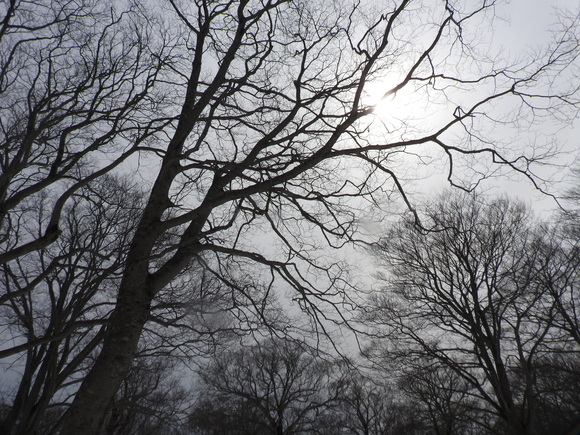 f0118332_0503374.jpg