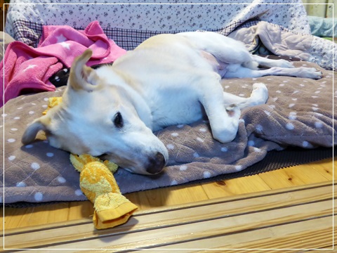 d0140133_13165210.jpg