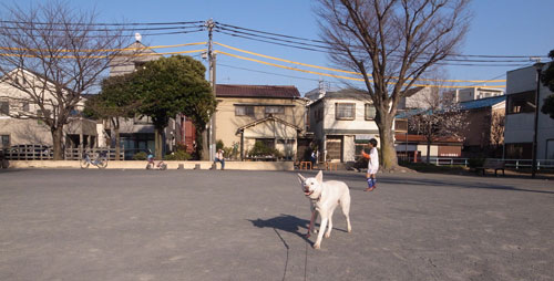 a0117039_2322590.jpg