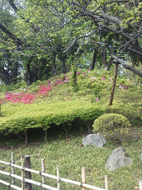 b0031140_14393441.jpg