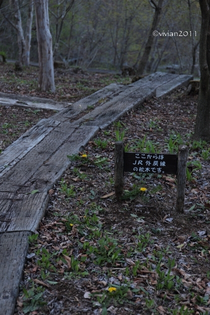e0227942_22192517.jpg