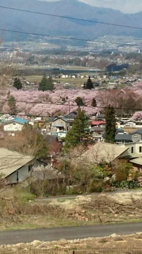 a0163444_13363827.jpg