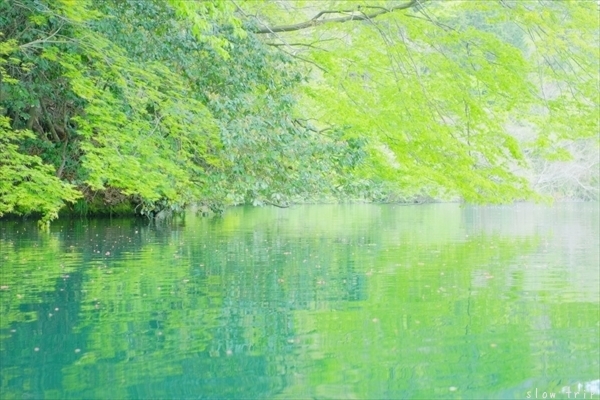 c0228945_15082926.jpg