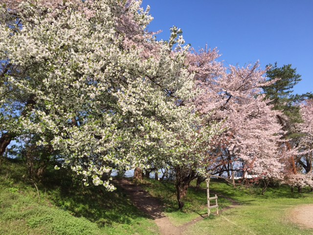 b0249247_056419.jpg