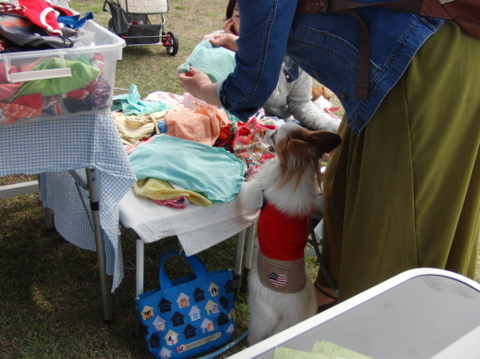 b0254548_09552490.jpg