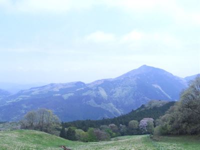 b0220251_16391077.jpg