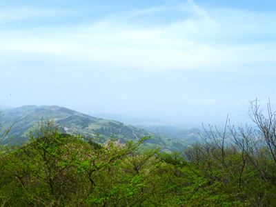 b0220251_1640185.jpg