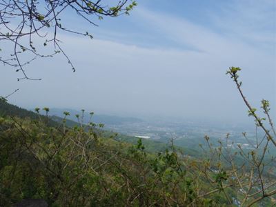 b0220251_16411738.jpg