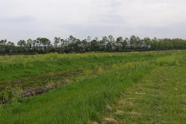 c0043361_2295776.jpg
