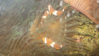 e0197164_16583465.jpg