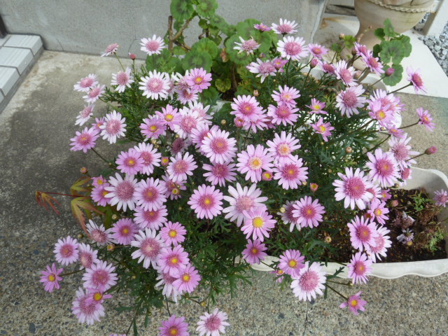 e0278968_21272851.jpg