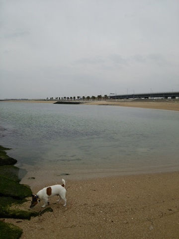 f0100871_13152491.jpg