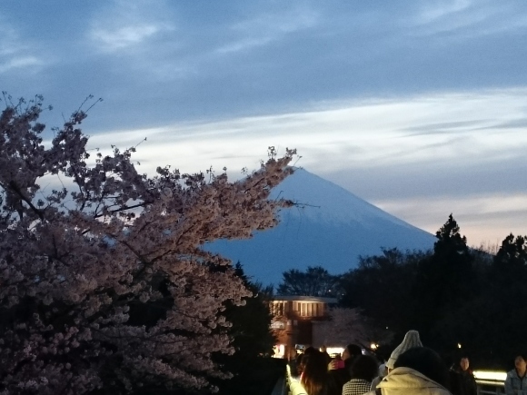 b0242873_19000570.jpg