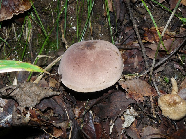 d0019074_72246.jpg