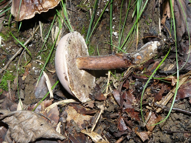 d0019074_732877.jpg