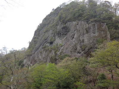d0182075_44225.jpg