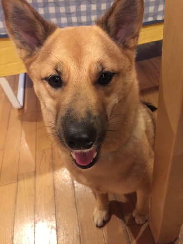 c0364176_10510992.jpeg