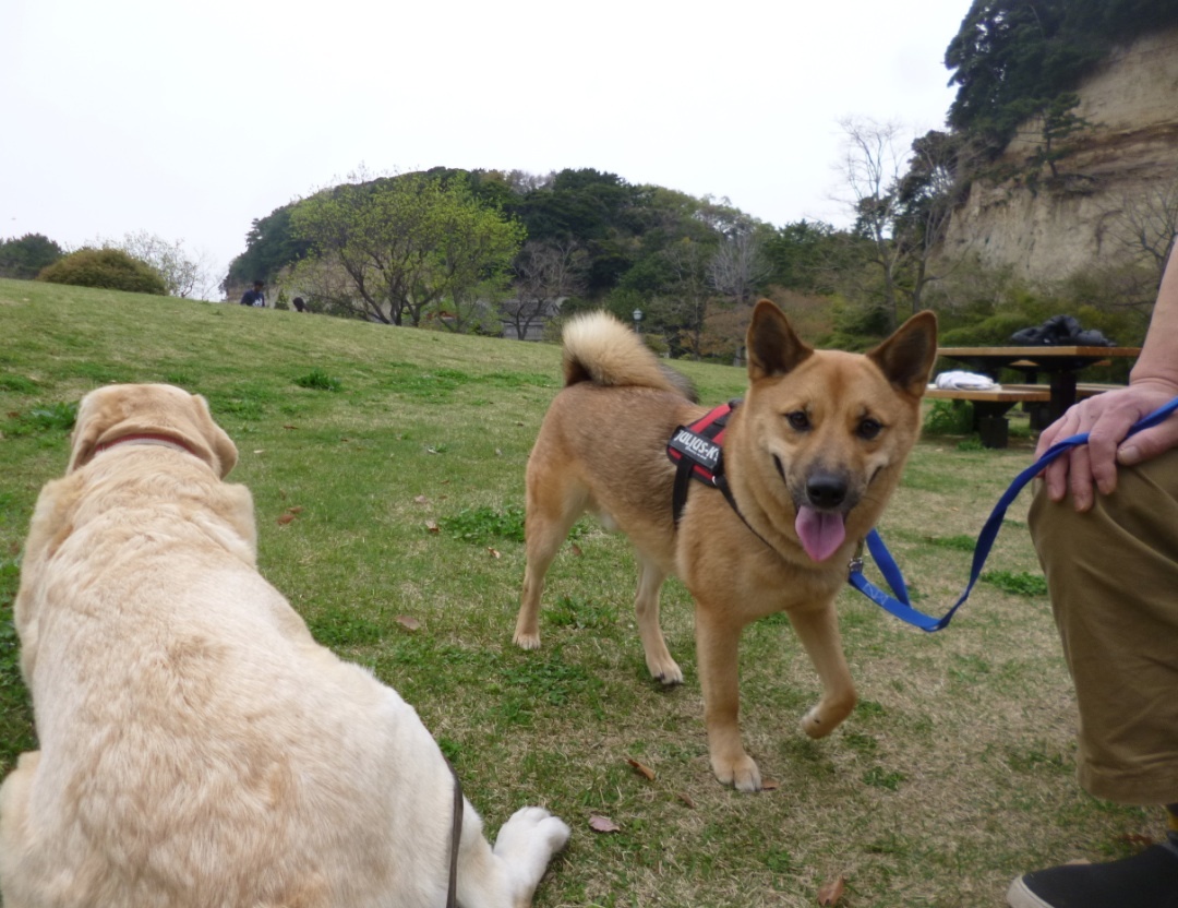 c0364176_10552293.jpeg
