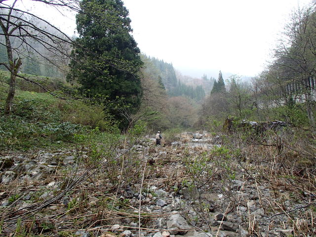 a0093677_23312495.jpg