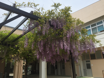 f0275885_13124260.jpg