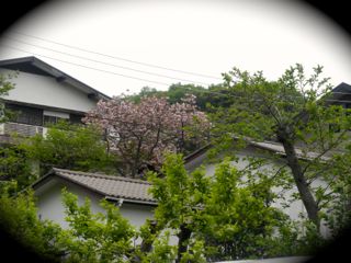 c0149195_2301094.jpg