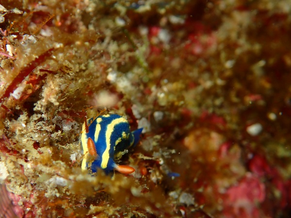f0297095_1363263.jpg