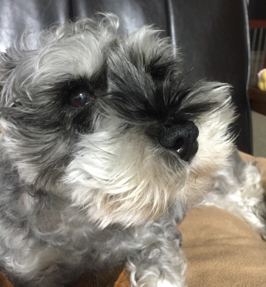 b0188998_21561178.jpeg