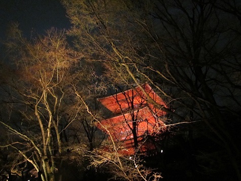 a0310405_12180747.jpg