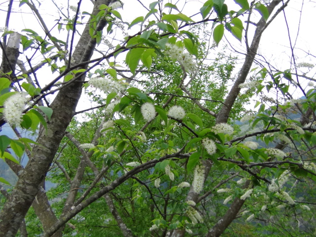 f0231709_10374871.jpg