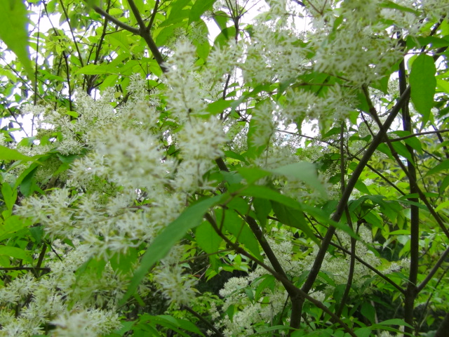 f0231709_10421394.jpg