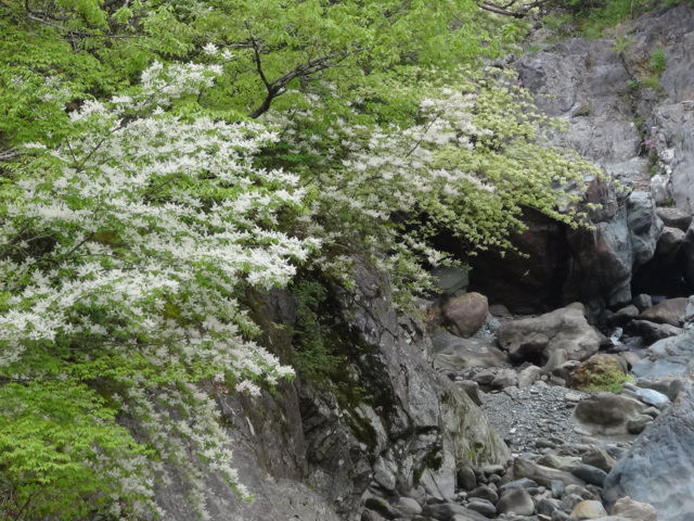 f0231709_10434281.jpg