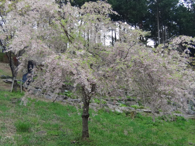 f0231709_10533857.jpg