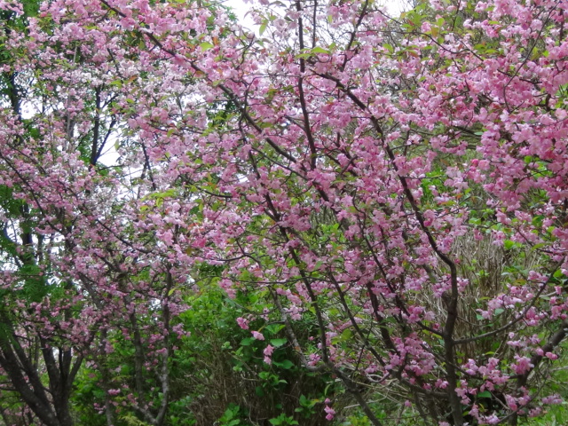 f0231709_11103727.jpg