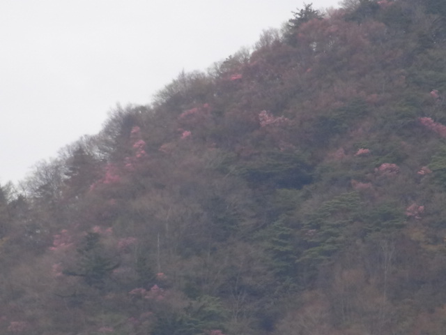 f0231709_11143777.jpg