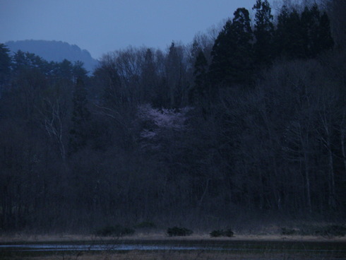 c0189218_8384227.jpg